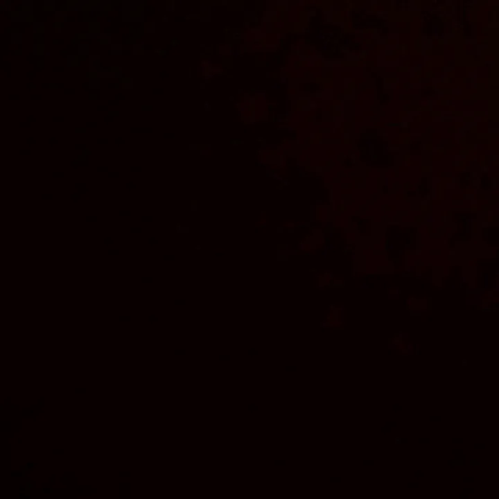 camila.sierra35