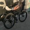 _stunt_men_