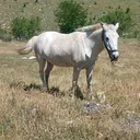 @esat.1923
