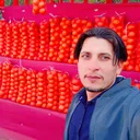 @saadmustafaarif