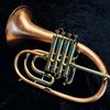 africantrumpet3
