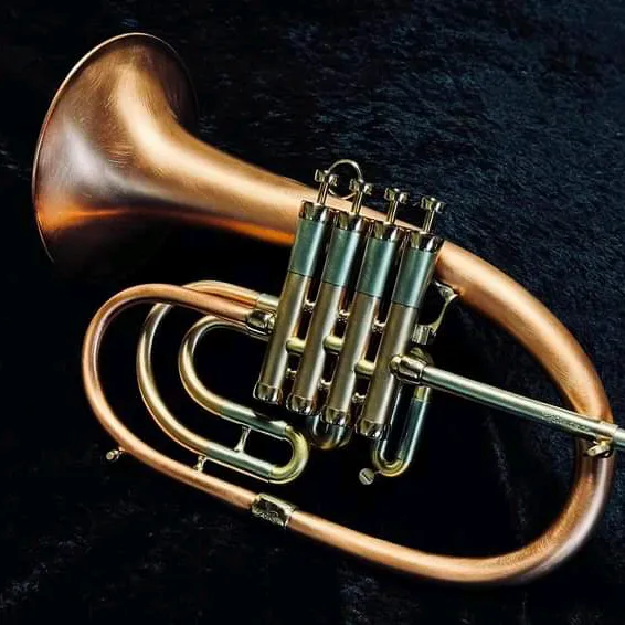 africantrumpet3