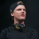 @electronic_universe