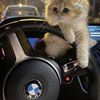ismailova_1602
