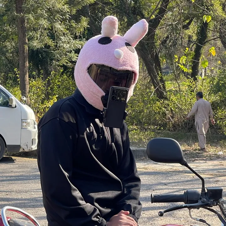 bunny_oncd70