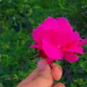@sanu8844