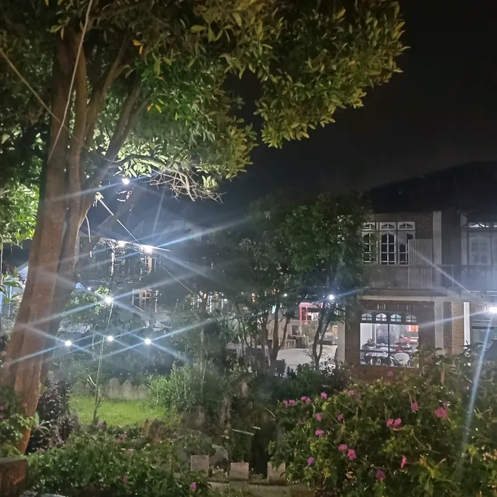 @radugea