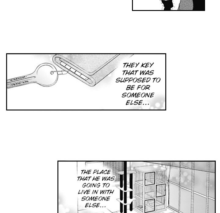 The Rose and The Black Cat - episode 7 - 8