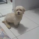 @viiiiih.dim