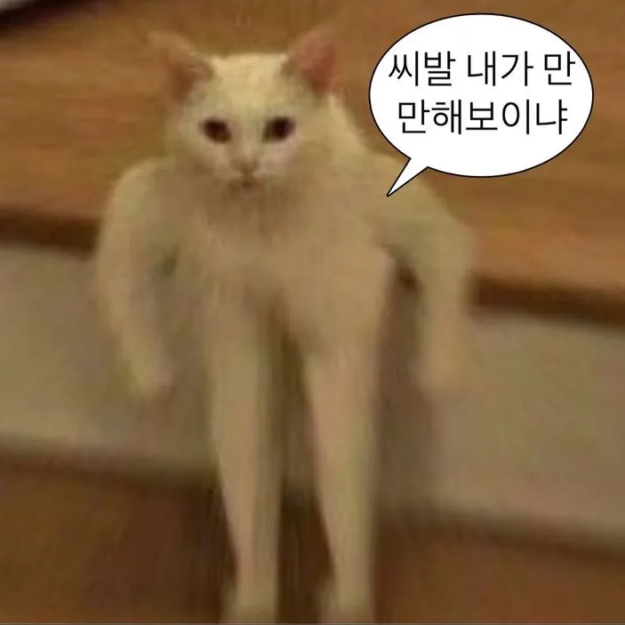 jeonanyeon_nsrf