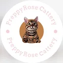 @preppyrosecattery