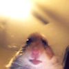 homak_2459