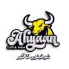 ahyaancattlefarm
