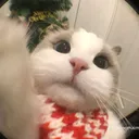 @paransa111197