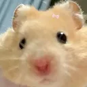 @nunaanun_