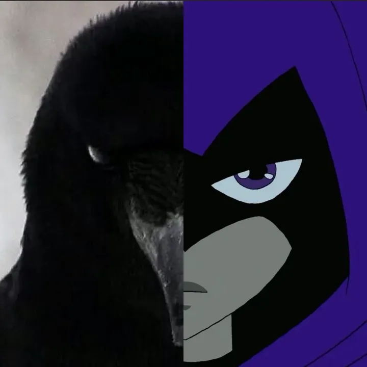 raven_sheis