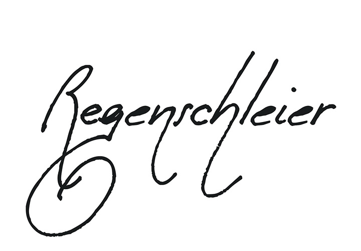 Regenschleier - episode 8 - 1