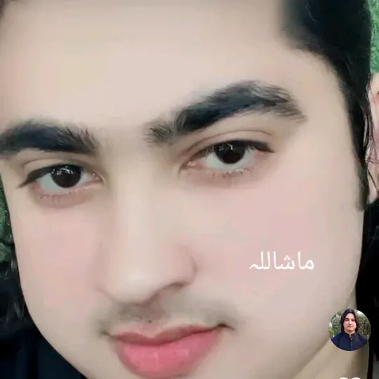 @kashifmahboob904