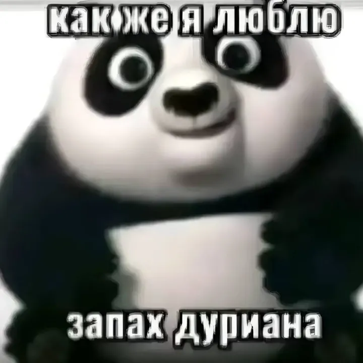 @nn01ss0