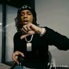bloodhound_nelly