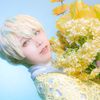 tane_0405