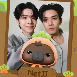 netjj24v