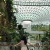 ms.wenatan99