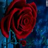 queenzy.love255