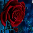 @queenzy.love255