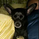 @username.comm38