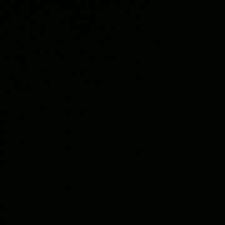 @team.negro0180