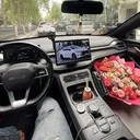 @alibekov.029