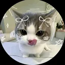 @ward.abdullah5