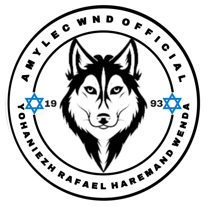 amylec_wnd.official