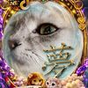 user35158036027815