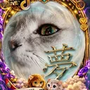 @user35158036027815