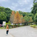 @taiwanderertina