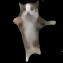 @user7774117613094