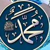 shaukathussain781