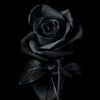 _banu_343434