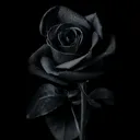 @_banu_343434