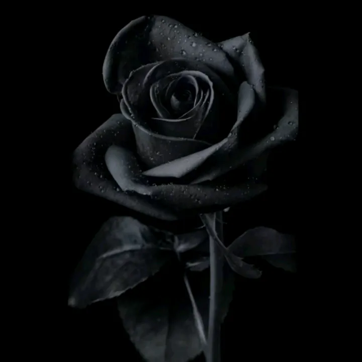 @_banu_343434