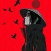 darinda4t