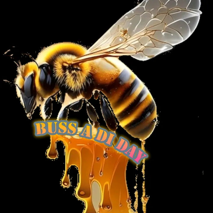 buss_a_di_day