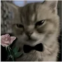 @lenerhelpme