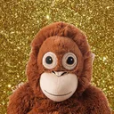 @themonkeyfamilia_