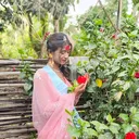 @sanjanamajhi522