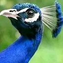 @user710978