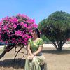 myint.moe9520