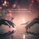 @mohsin.khan8662